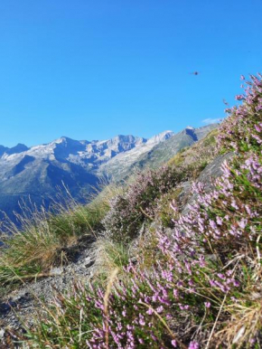 Au pied des pistes